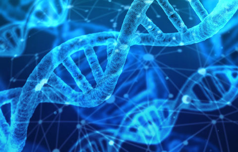 DNA