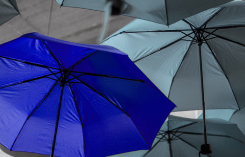 Regenschirm blau