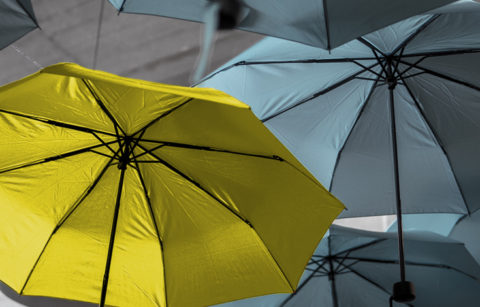 Regenschirm gelb