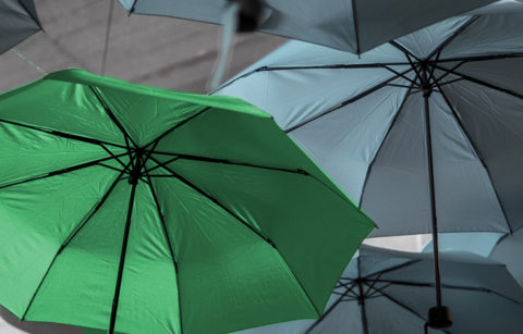 Regenschirm grün