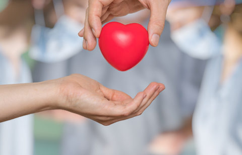 Organspende