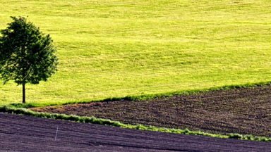 Glaube, Feld