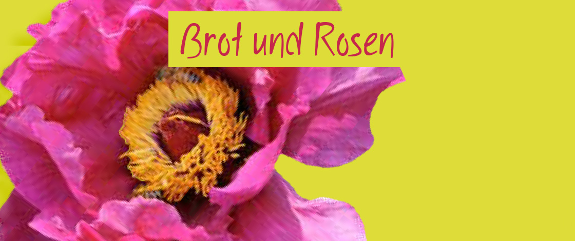 Brot und Rosen