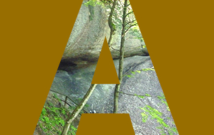 Anabaptims Az Reformiert En