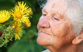 Ältere Frau mit Blume, Visual der Ökumenischen Tagung