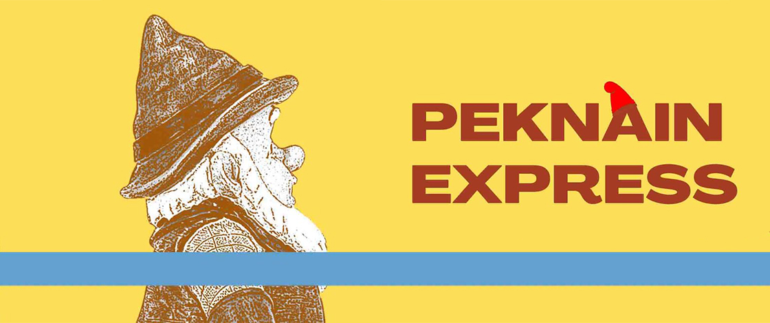 Logo, Pekan Express